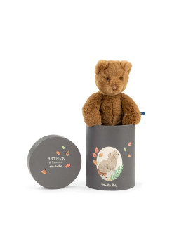 Pluszowy miś ARTHUR w ozdobnym pudełku 680037