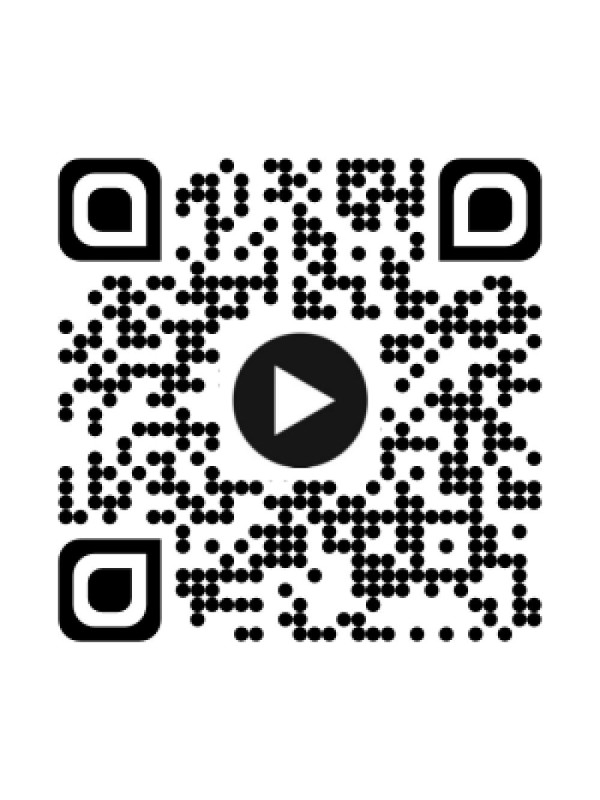 Gra karciana SAFARI CROCO DJ05077