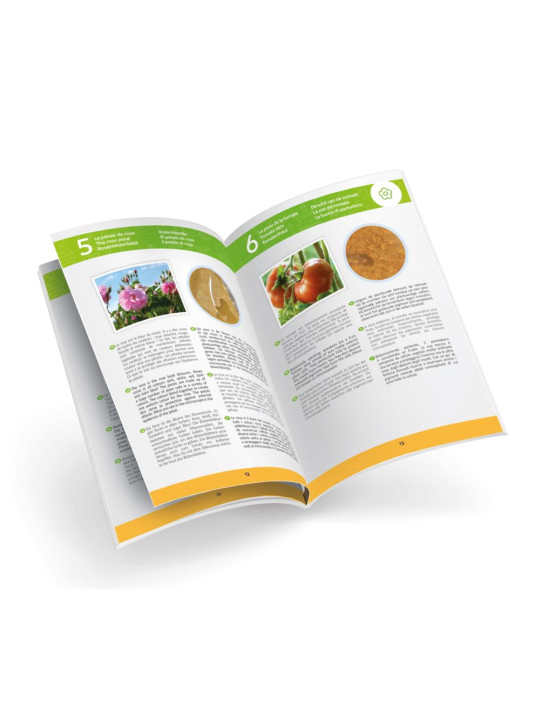 Mikroskop 20 doświadczeń MR450