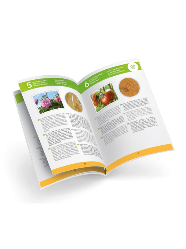 Mikroskop 20 doświadczeń MR450