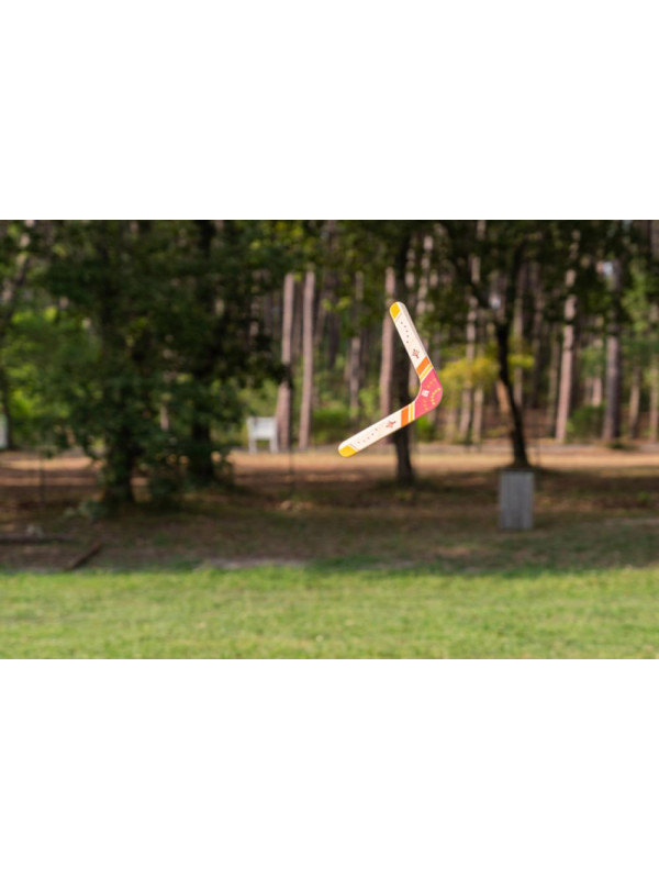 BS Toys, drewniany bumerang