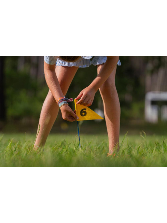 BS Toys, gra zręcznościowa Disc Golf