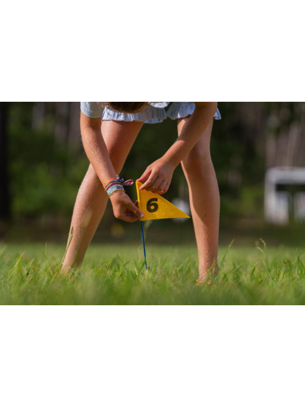 BS Toys, gra zręcznościowa Disc Golf