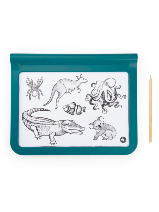 Dwustronny tablet DOOKOŁA ŚWIATA 719200