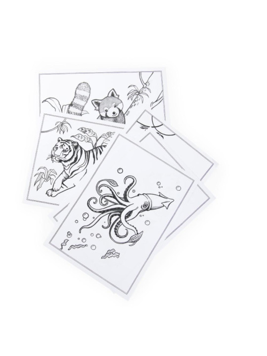 Dwustronny tablet DOOKOŁA ŚWIATA 719200