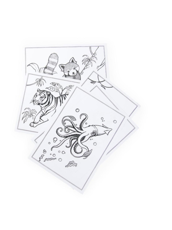 Dwustronny tablet DOOKOŁA ŚWIATA 719200