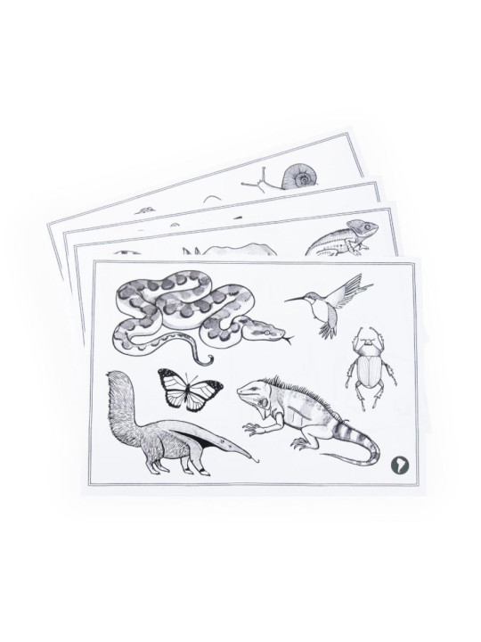 Dwustronny tablet DOOKOŁA ŚWIATA 719200