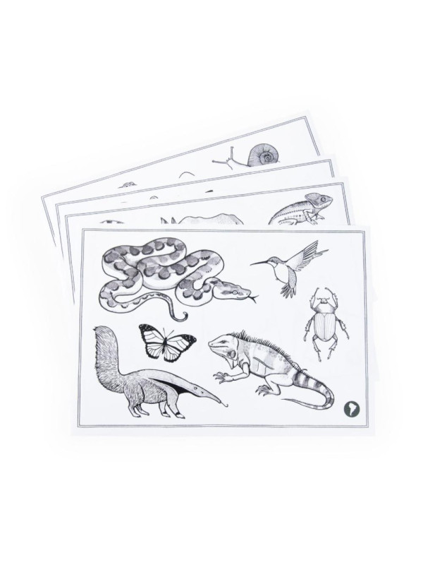 Dwustronny tablet DOOKOŁA ŚWIATA 719200