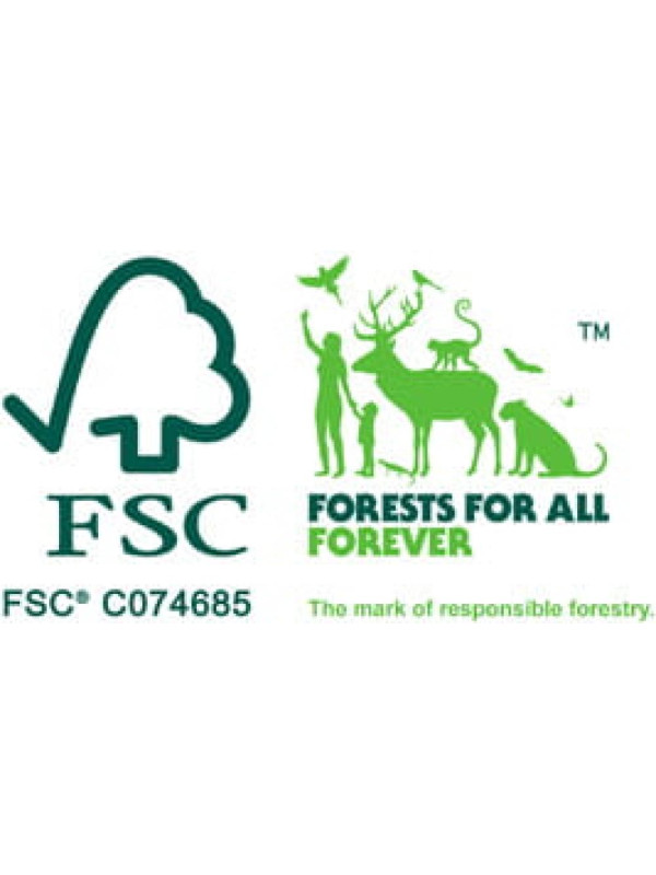 Gra zręcznościowa OOLA HOOP DJ02000