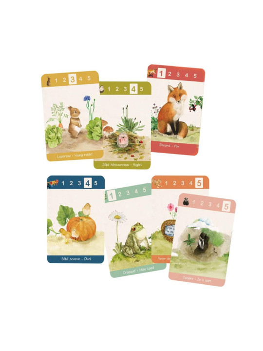 Gra karciana 7 rodzin 712434