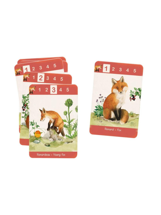 Gra karciana 7 rodzin 712434