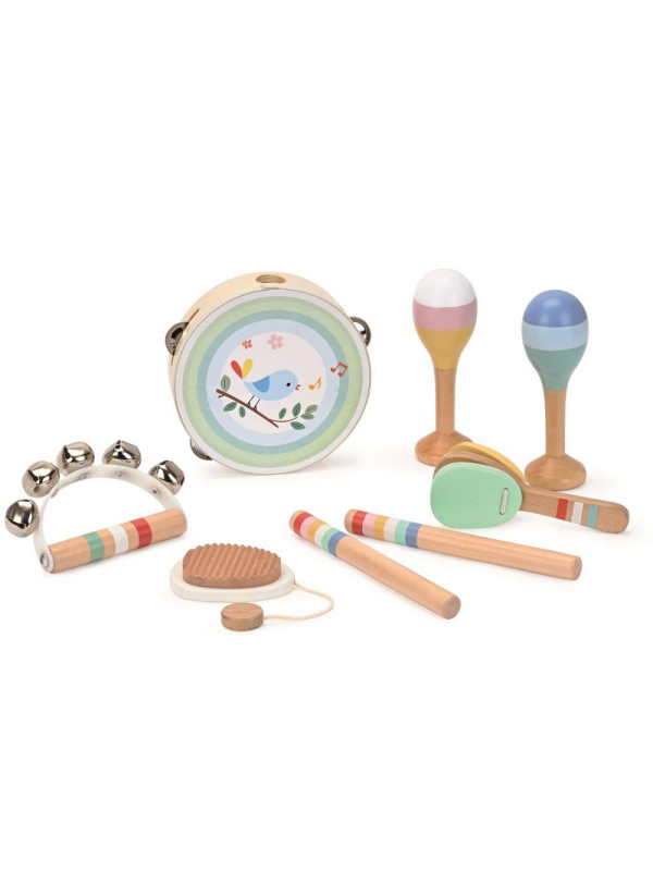 Zestaw instrumentów muzycznych z ptaszkiem