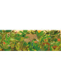 Puzzle gallery UKRYTE W NATURZE 1000 elem. DJ07692