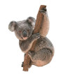 MADD CAPP, Puzzle konturowe I AM LIL' - Koala 100 elem.