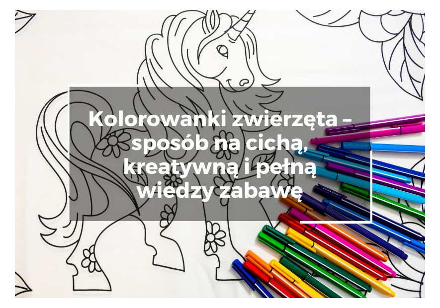 Kolorowanki zwierzęta – sposób na cichą, kreatywną i pełną wiedzy zabawę Kolorowanki zwierzęta – sposób na cichą, kreatywną i pełną wiedzy zabawę