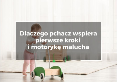 Dlaczego pchacz wspiera pierwsze kroki i motorykę malucha Dlaczego pchacz wspiera pierwsze kroki i motorykę malucha