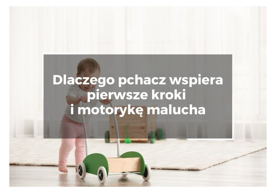 Dlaczego pchacz wspiera pierwsze kroki i motorykę malucha Dlaczego pchacz wspiera pierwsze kroki i motorykę malucha
